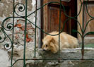 Vernazza 2